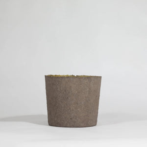 flower-pot-waste-paper-beeswax-studio-visur-the_home_of_sustainable-things