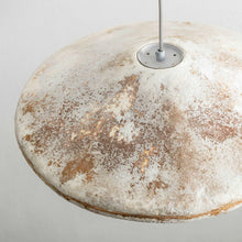 Load image into Gallery viewer, pendant-lamp-b-wise-myceliated-organic-waste-mycelium-myceen-the_home_of_sustainable_things
