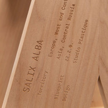 Load image into Gallery viewer, plus-fiftytwo-step-stool-salix-alba-studio-plastique-the_home_of_sustainable_things
